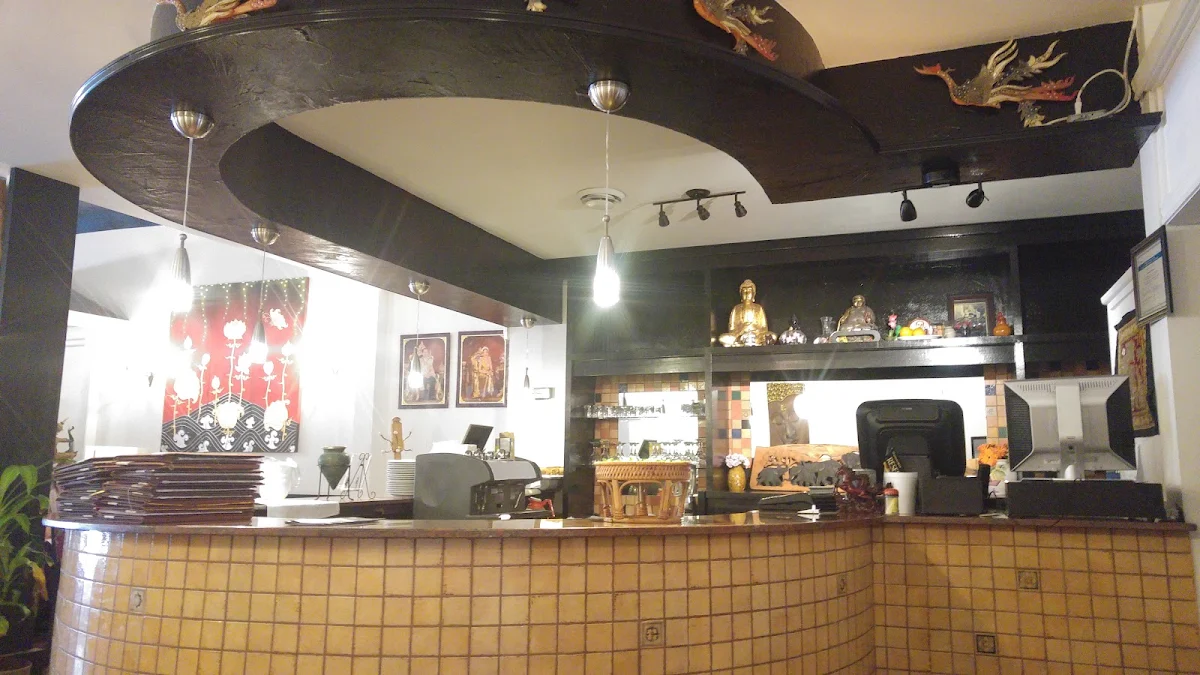 Vibe photo 7