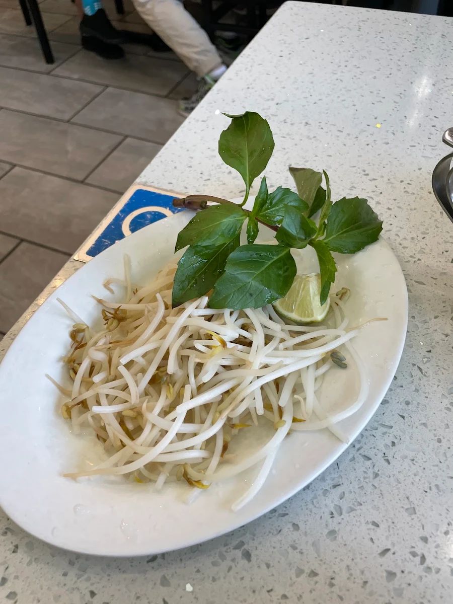 Food & drink, Thai Son
