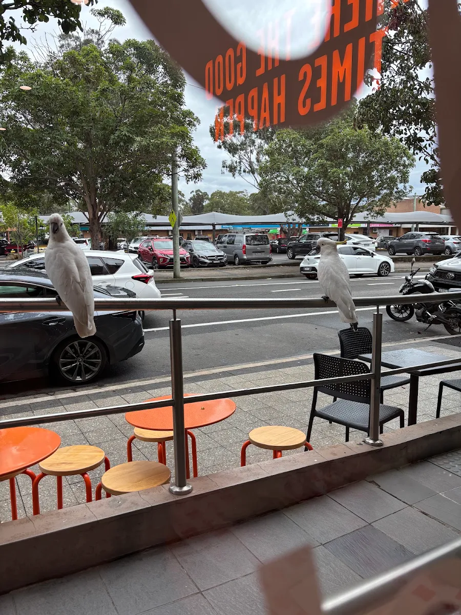 Vibe, SAN SAN Revesby
