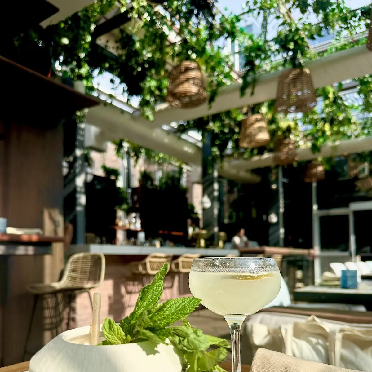 Food & drink, Baro