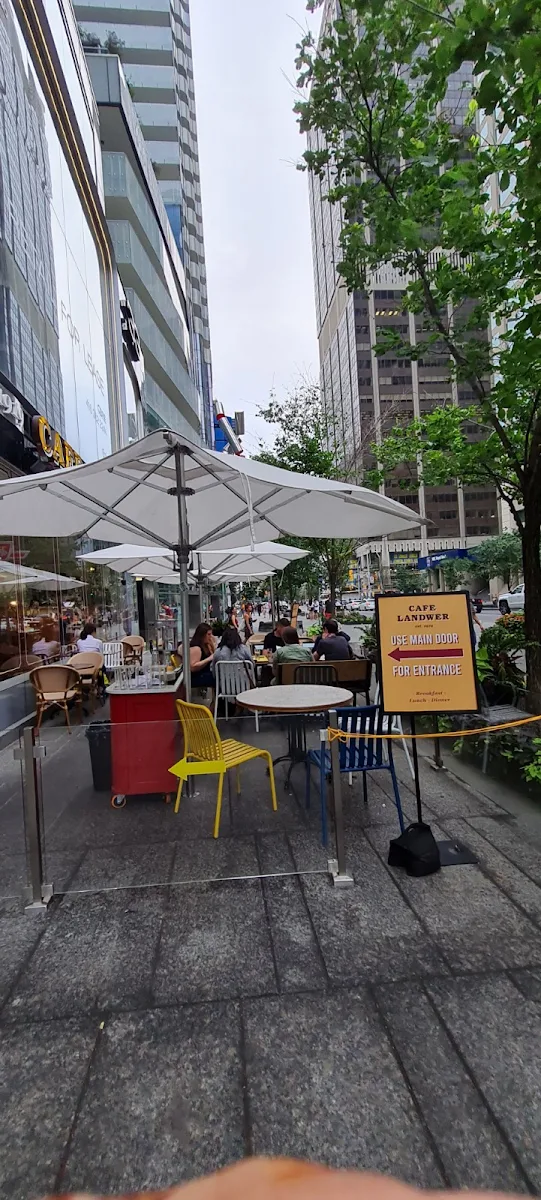Vibe, Cafe Landwer