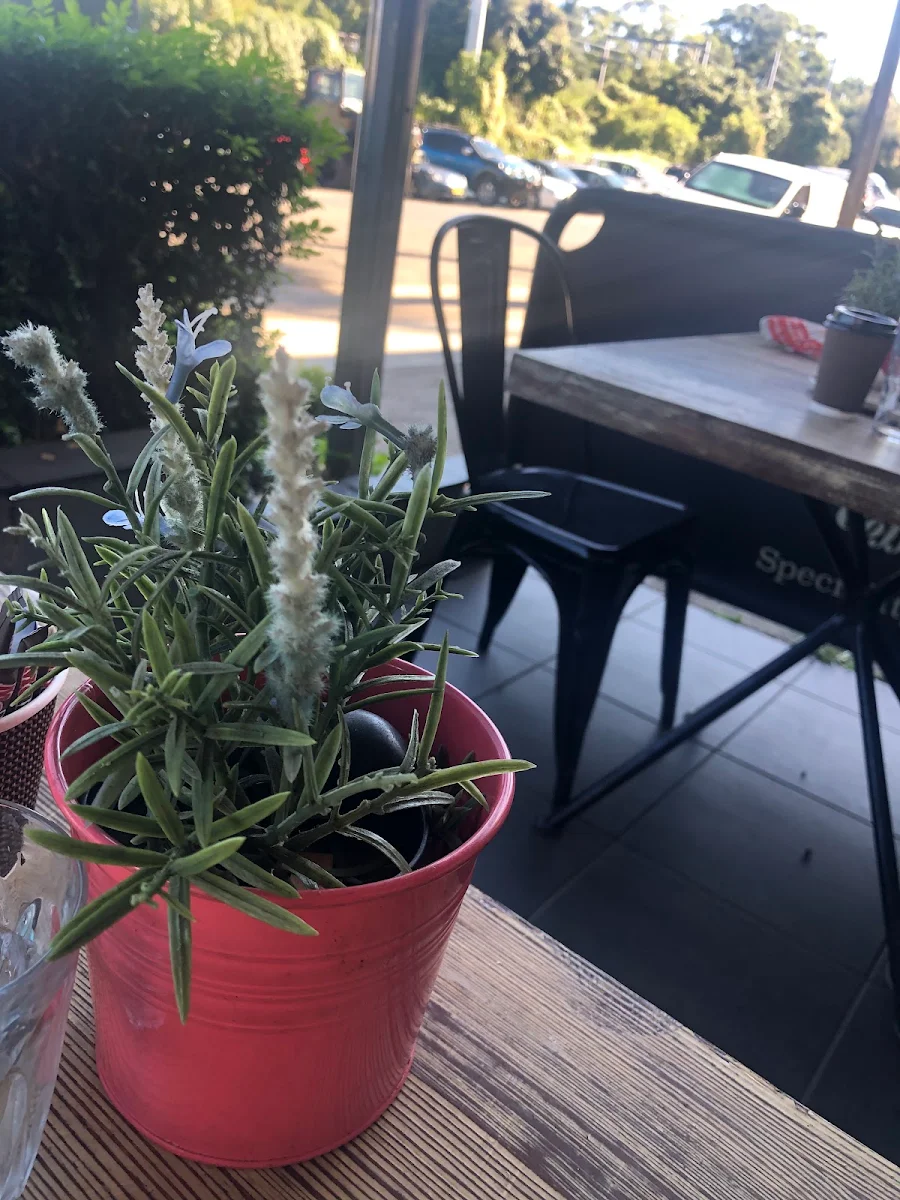 Vibe, Dinoni Cafe