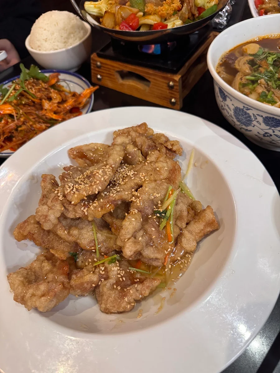 Food & drink, Noodle Fans
