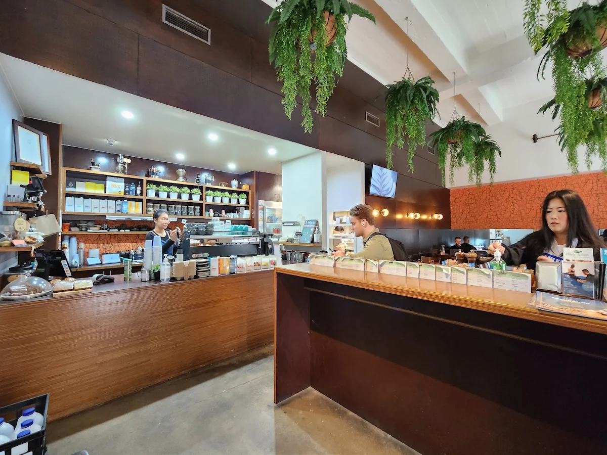 Vibe, Le Monde Cafe