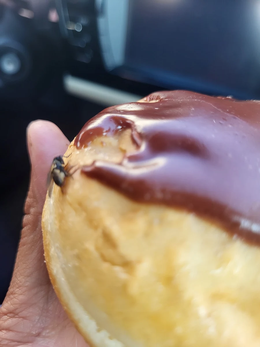 Food & drink, Tim Hortons