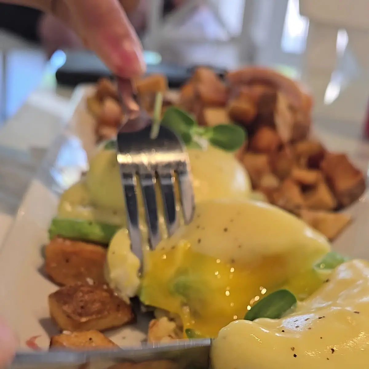 Food & drink, A Dog's Breakfast