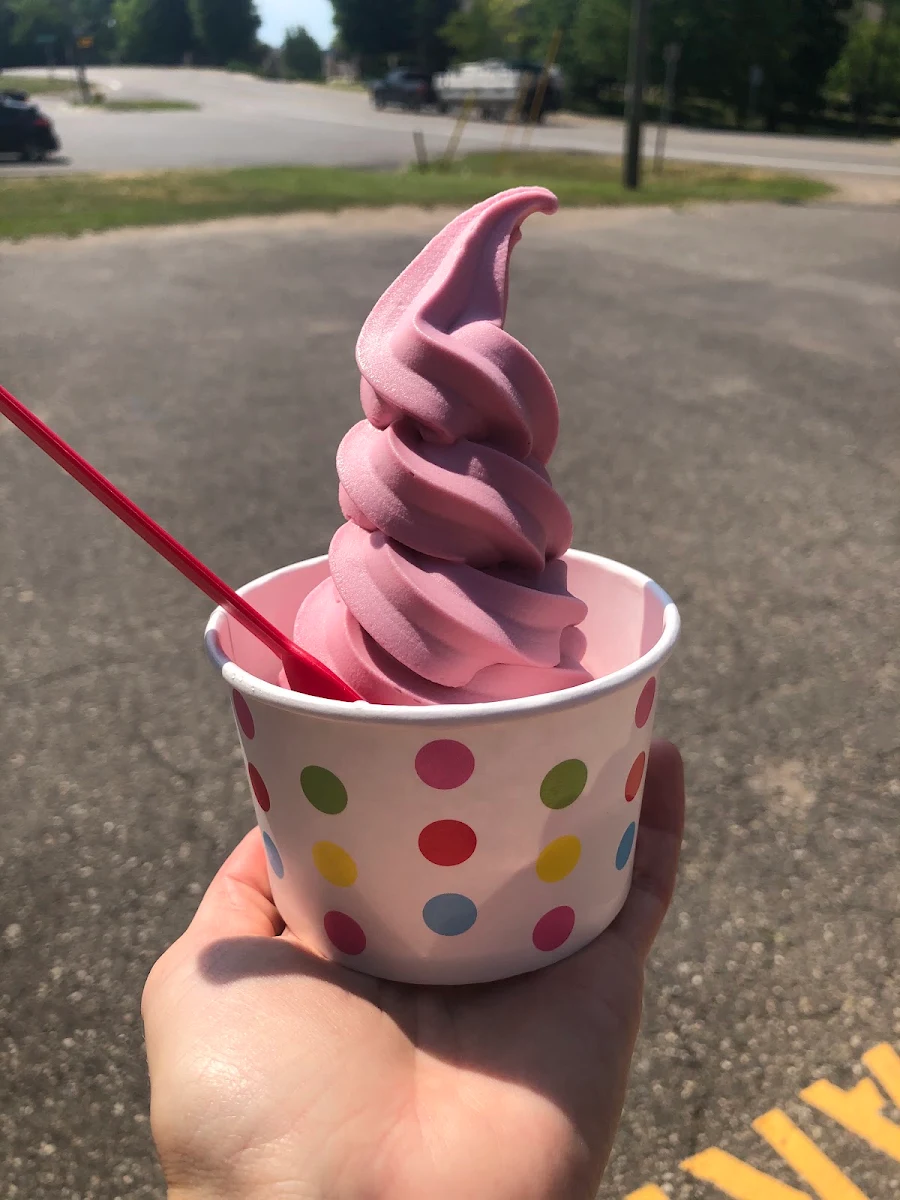 Frozen Yogurt