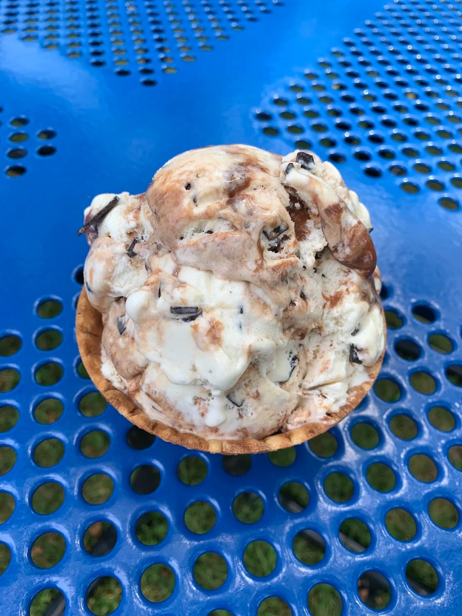 Sea Salt Turtle Swirl
