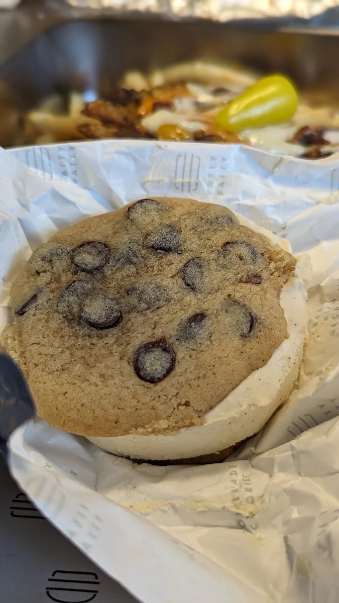 Chocolate Chip Ice Cream Sandwich