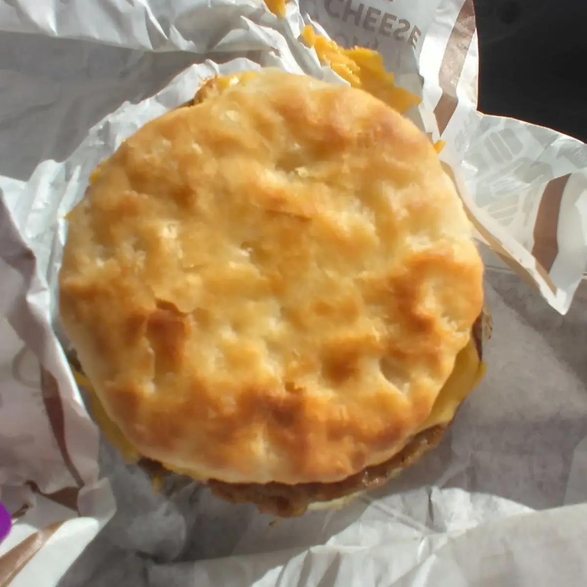 Egg and Cheese Biscuit