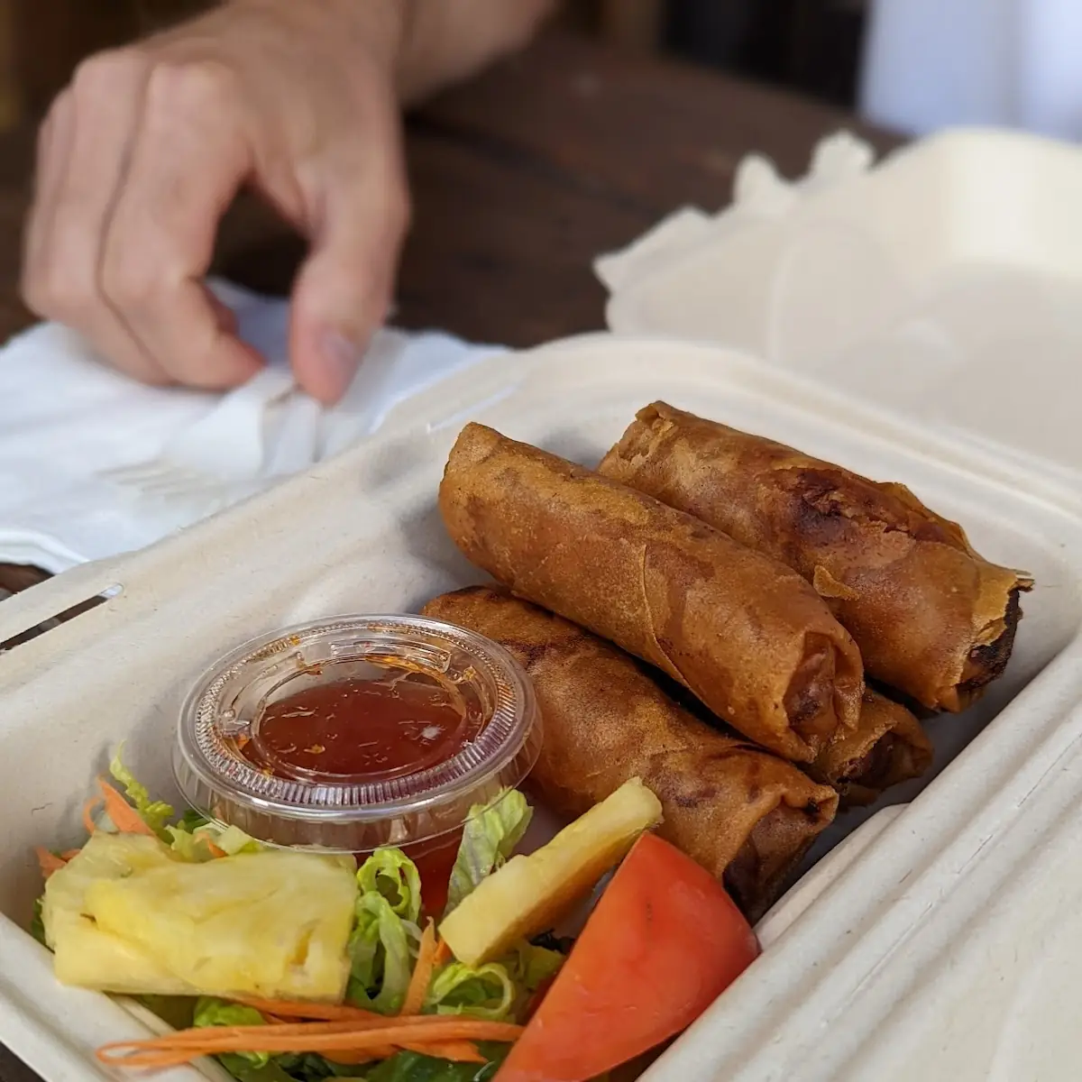 Spring Rolls