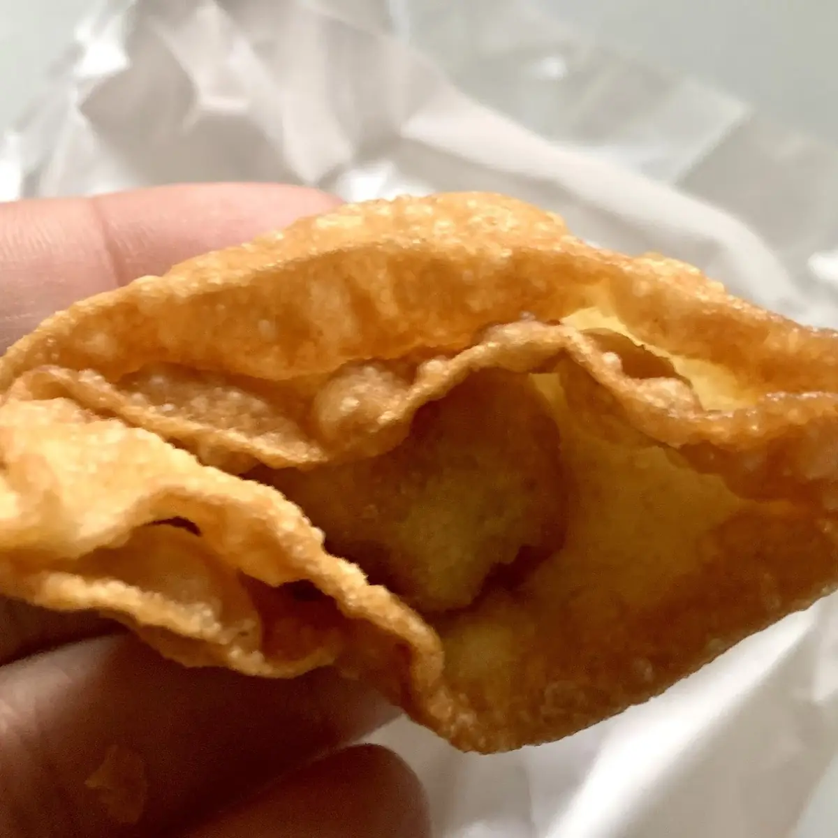 Fried Wonton - 12