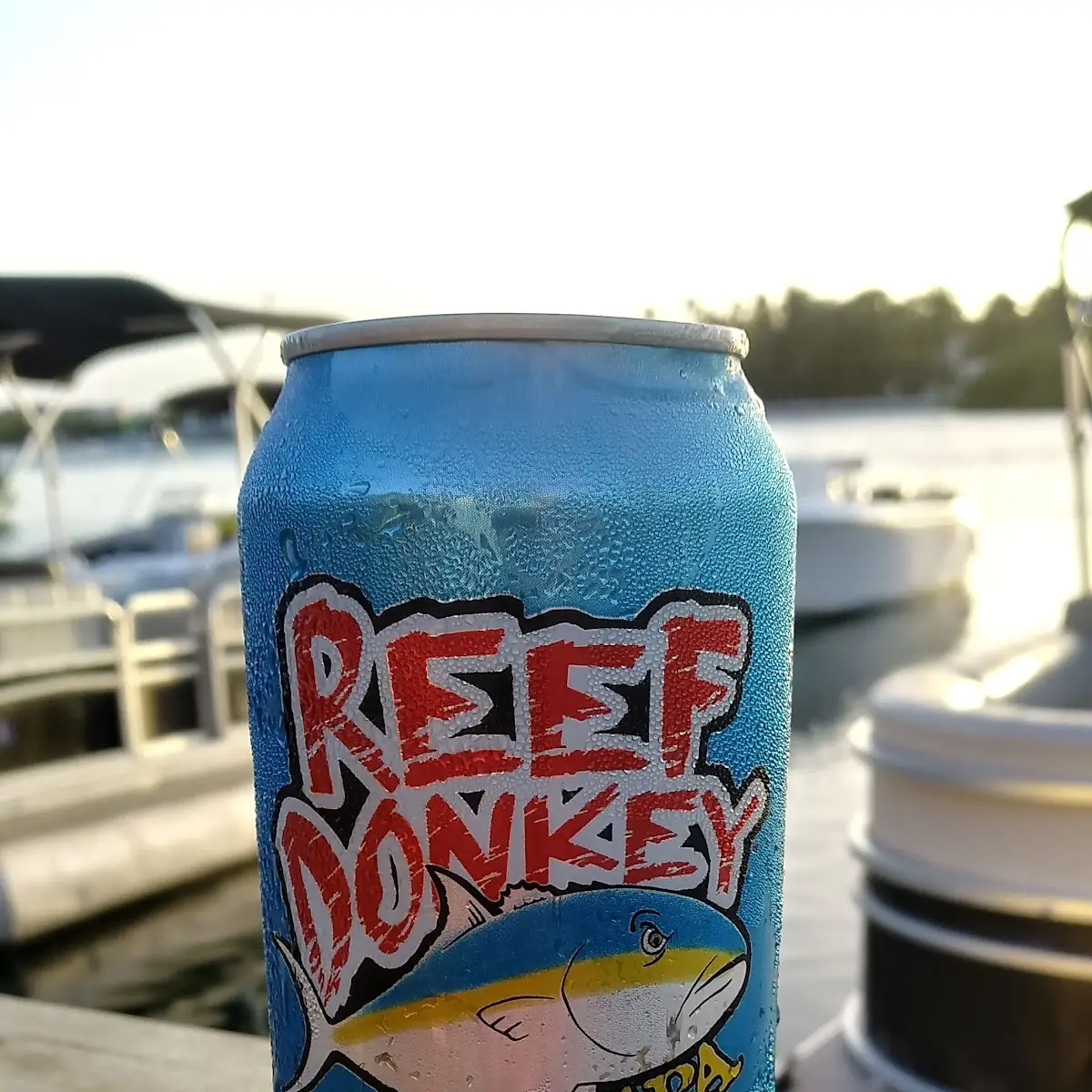 Reef Donkey Pale Ale