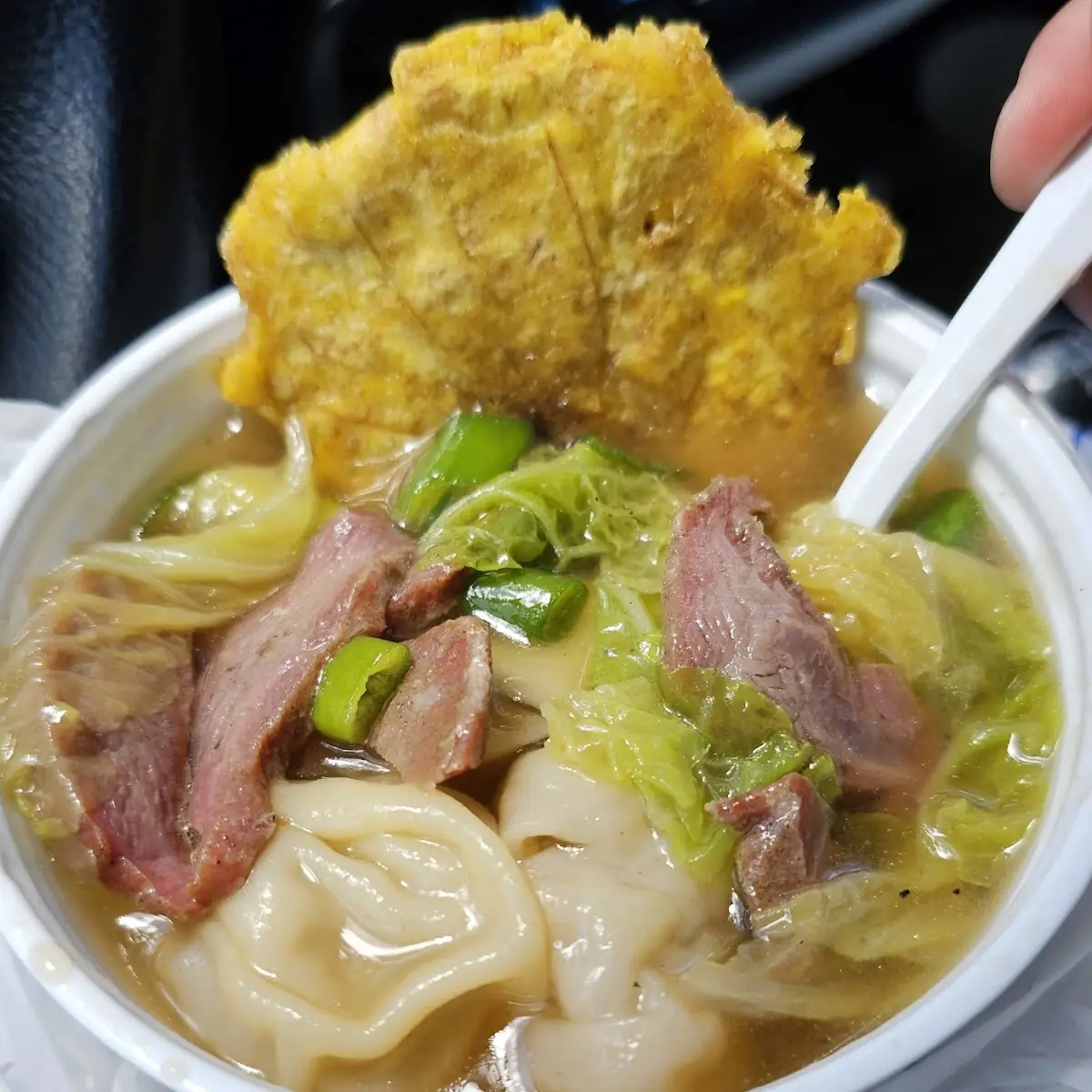 Wonton Soup