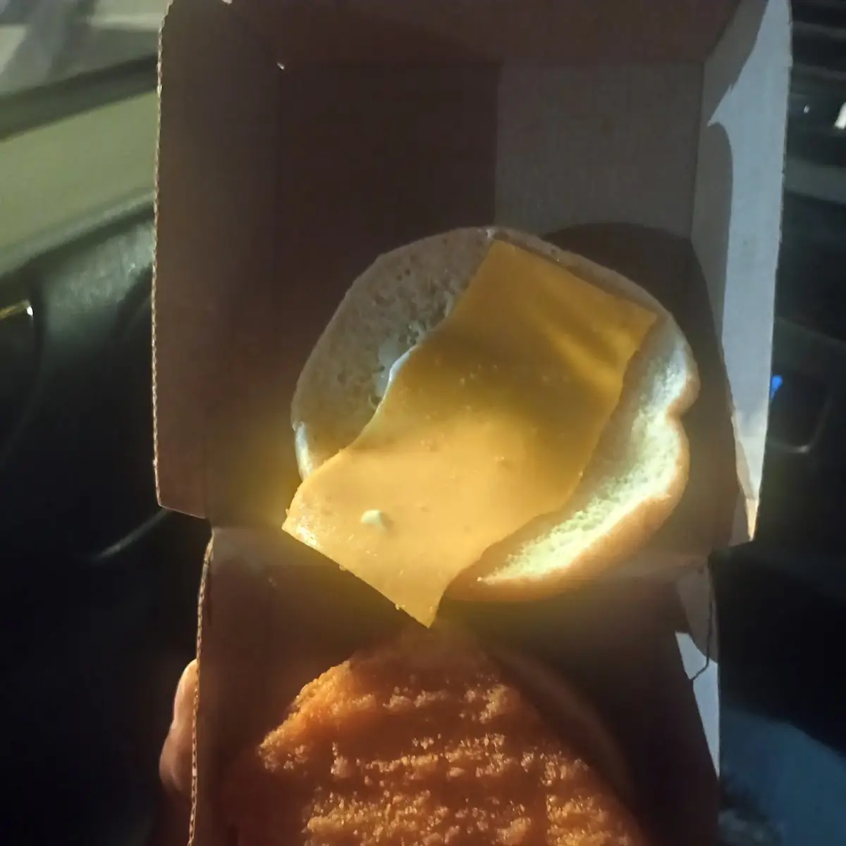New Fish Fillet Slider