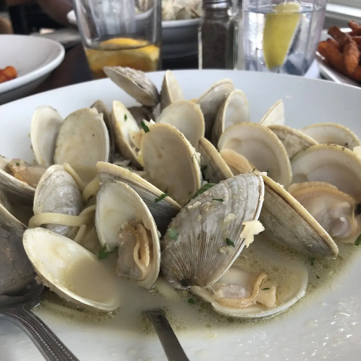 Steamed Clams