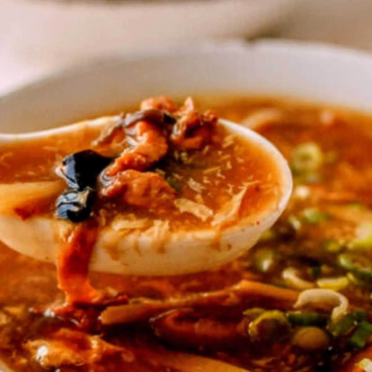 Hot and Sour Soup