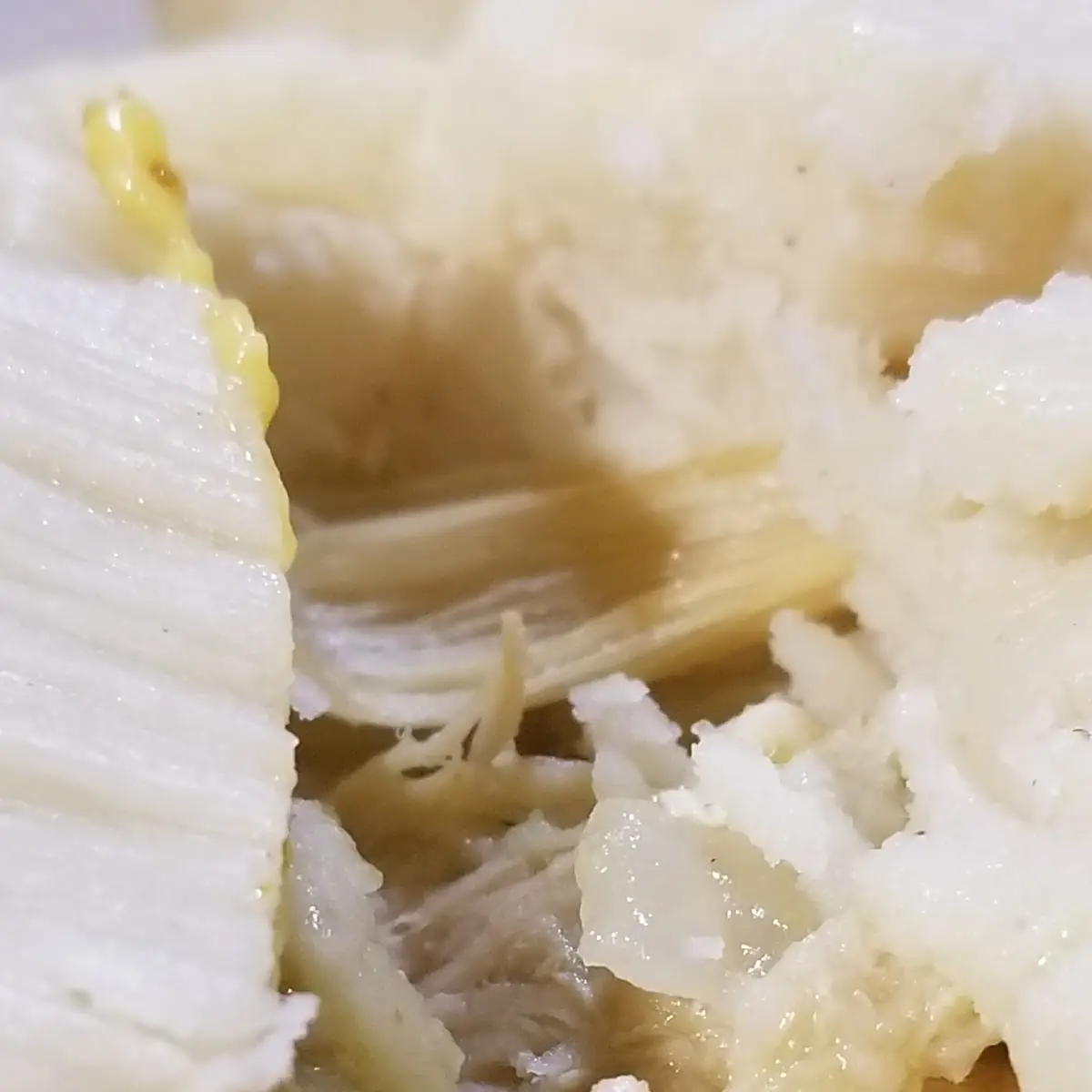 Chicken Tamales