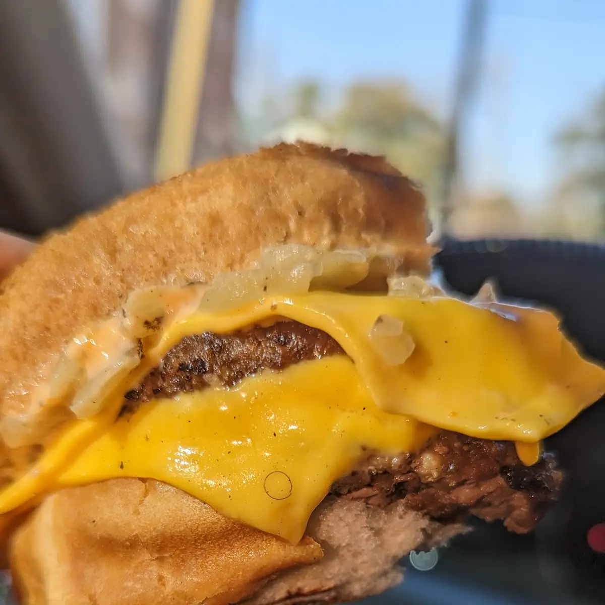 Double Cheeseburger