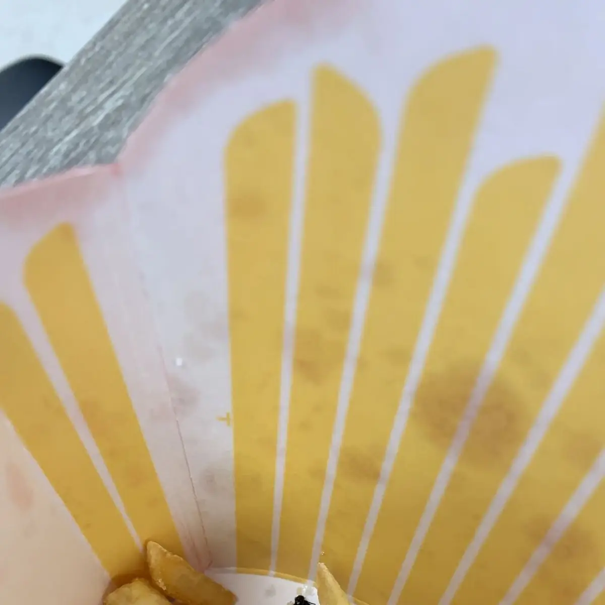 World Famous Fries