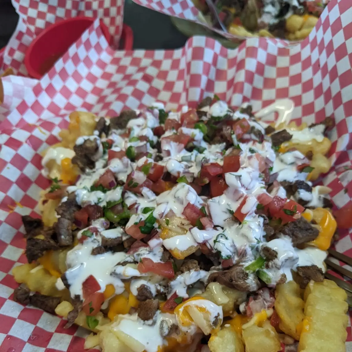 Carne Asada Fries