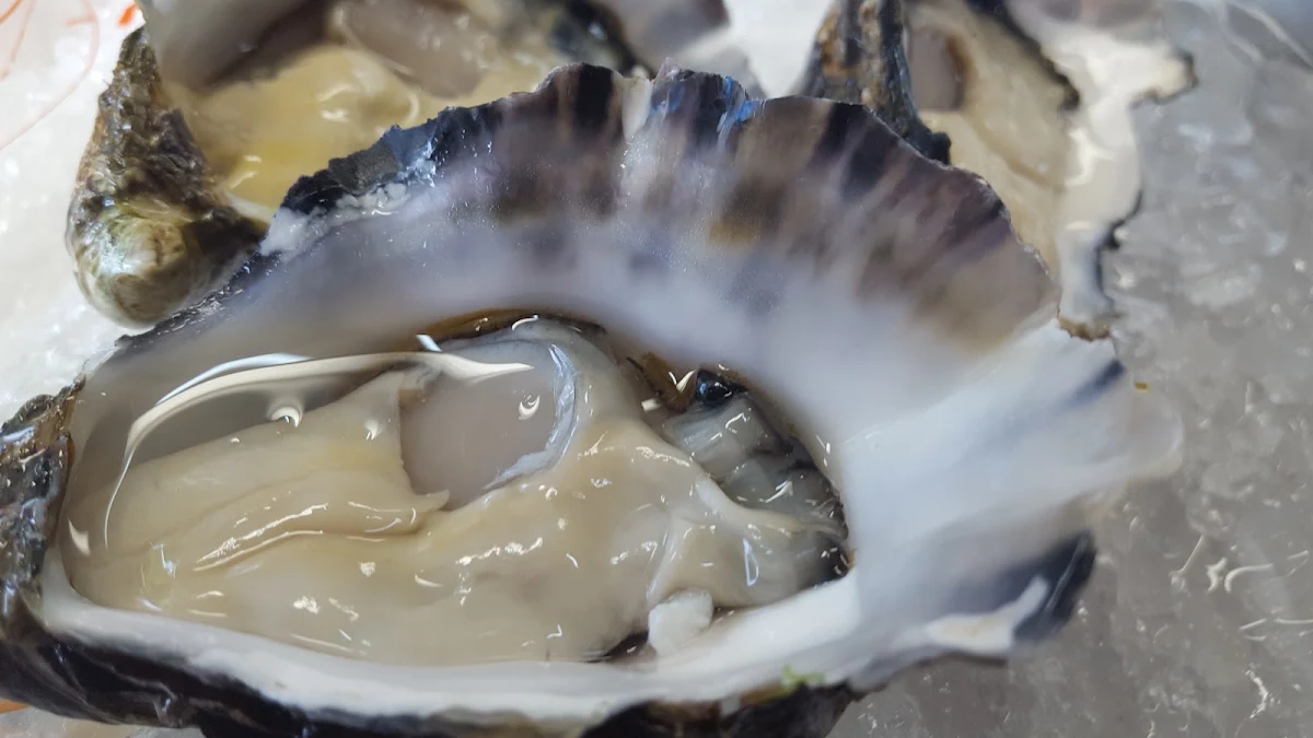 Freshly Opened Oysters