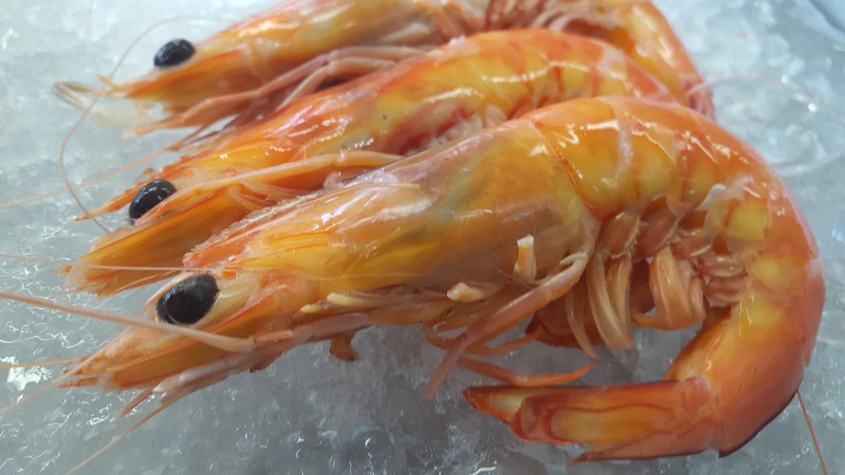 Wild King Prawns