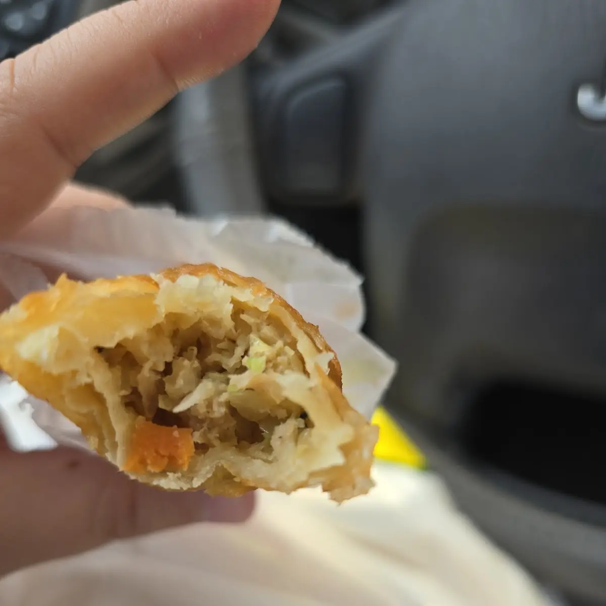 Pork Egg Roll(2)