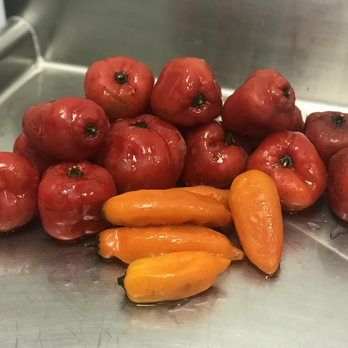 Rocoto-Authentic Peruvian Red Pepper Spicy