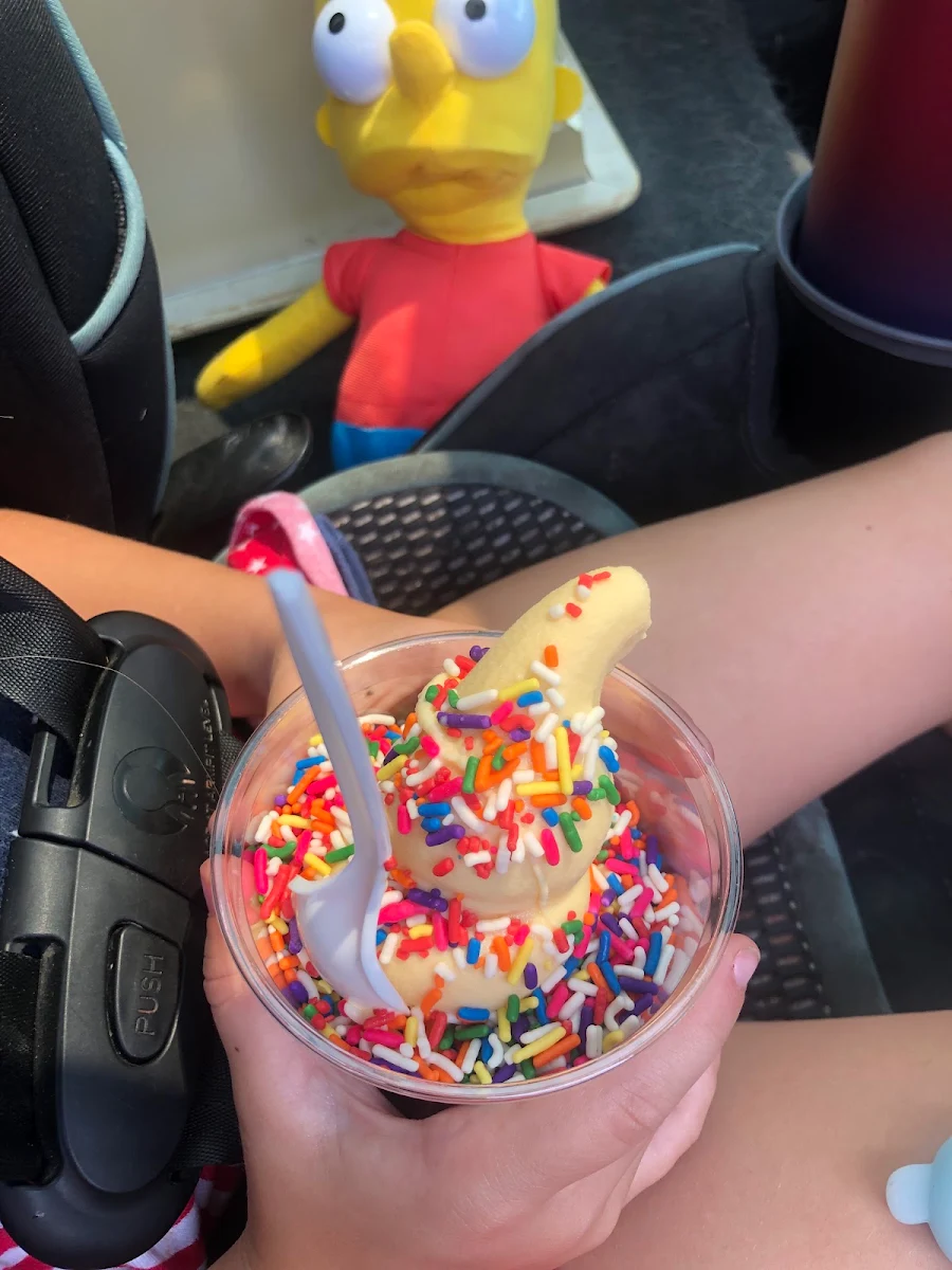Vanilla Ice Cream with Sprinkles Cup