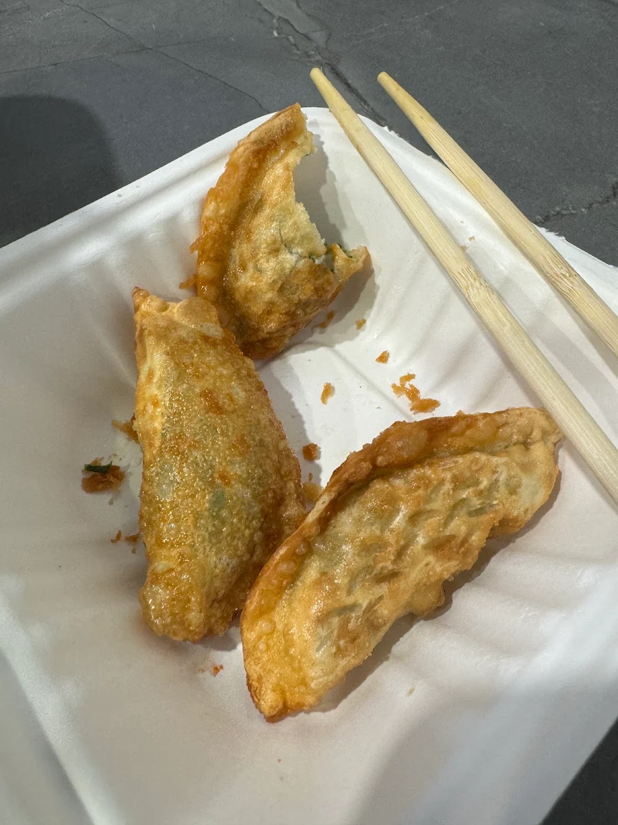 Deep Fried Dumplings