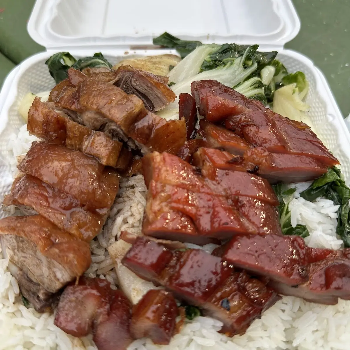 Roasted Pork and Char Siu with Rice