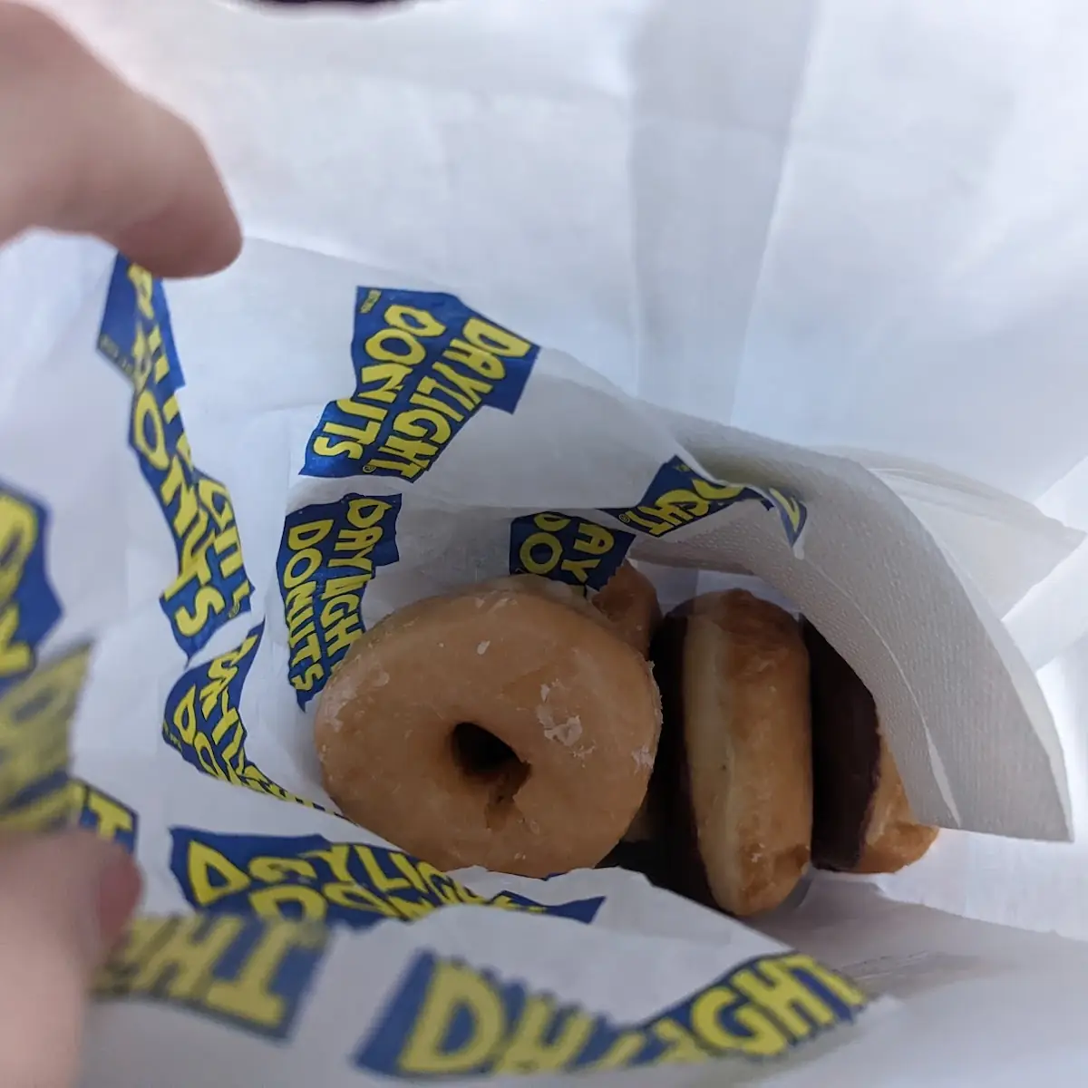 Doughnut