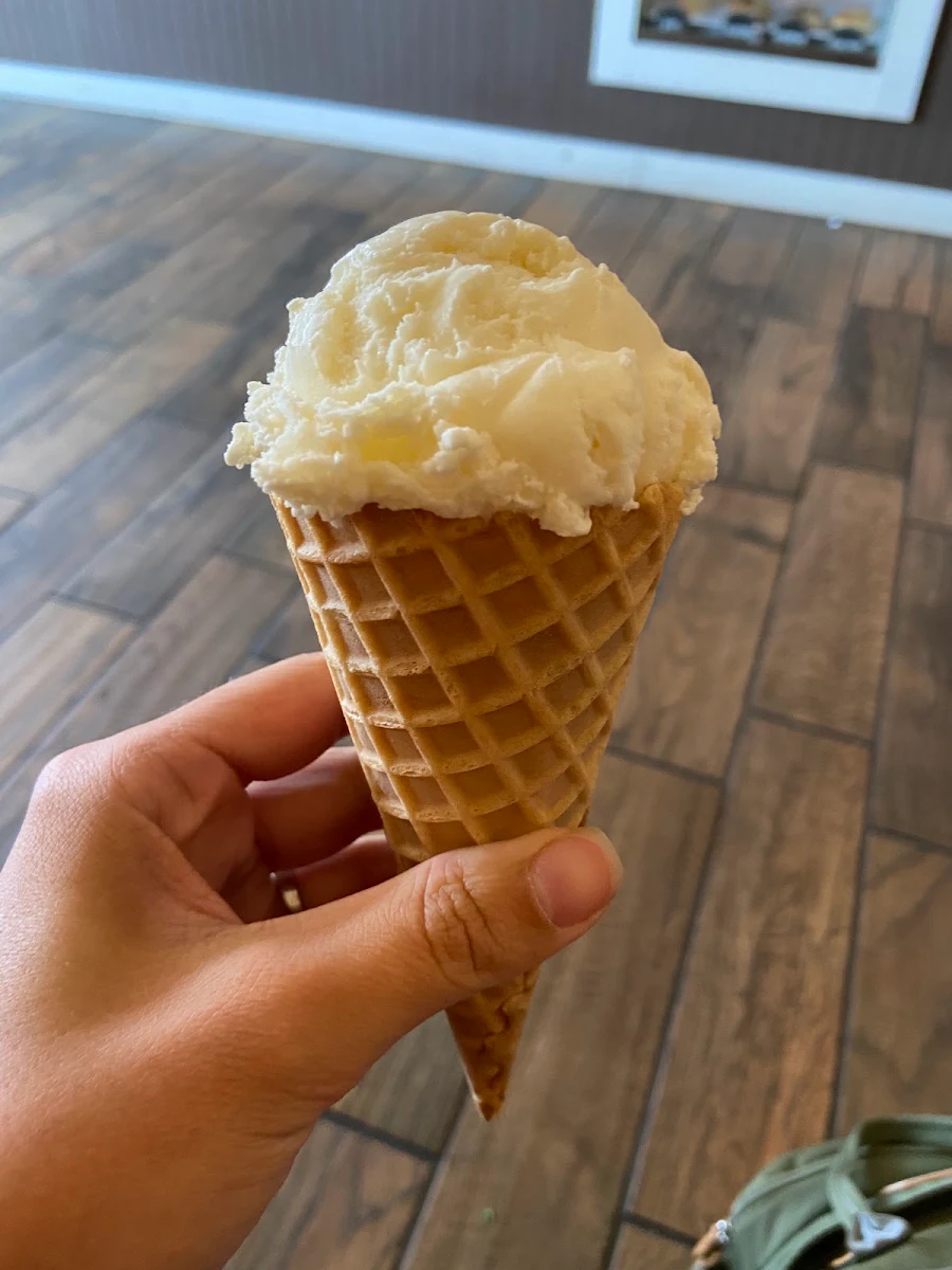 Vanilla Ice Cream Single