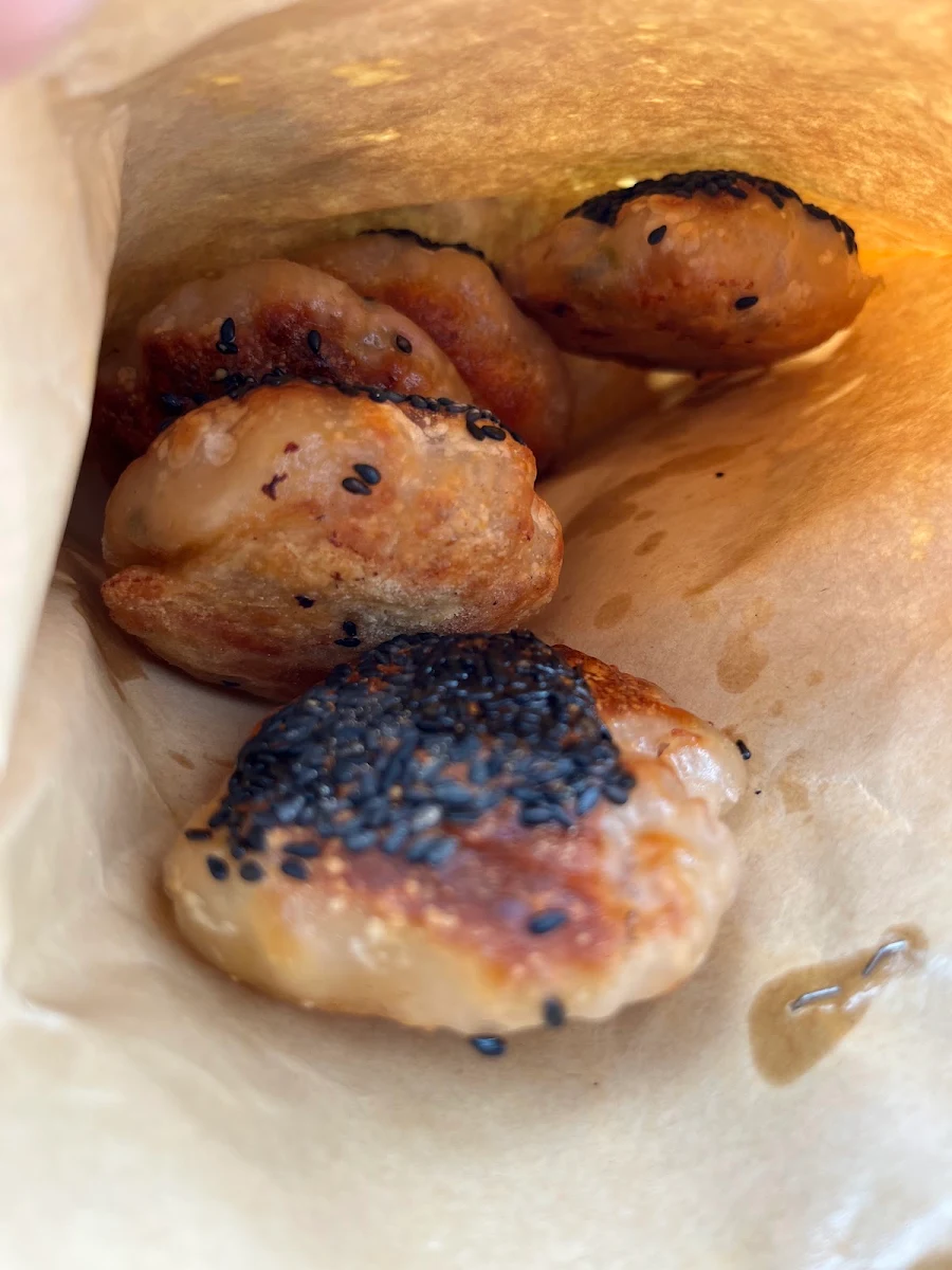 Grilled Pork Meat Pie, 金小烤泥炉烤饼 Jin’s Grilled Meat Pie