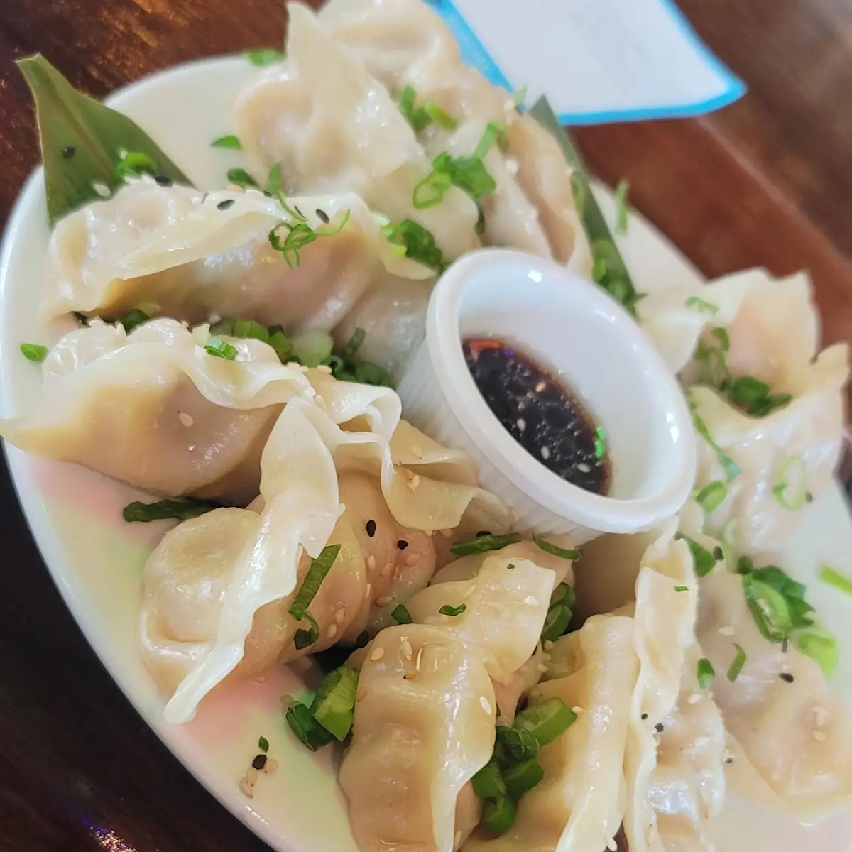 Chicken Dumplings