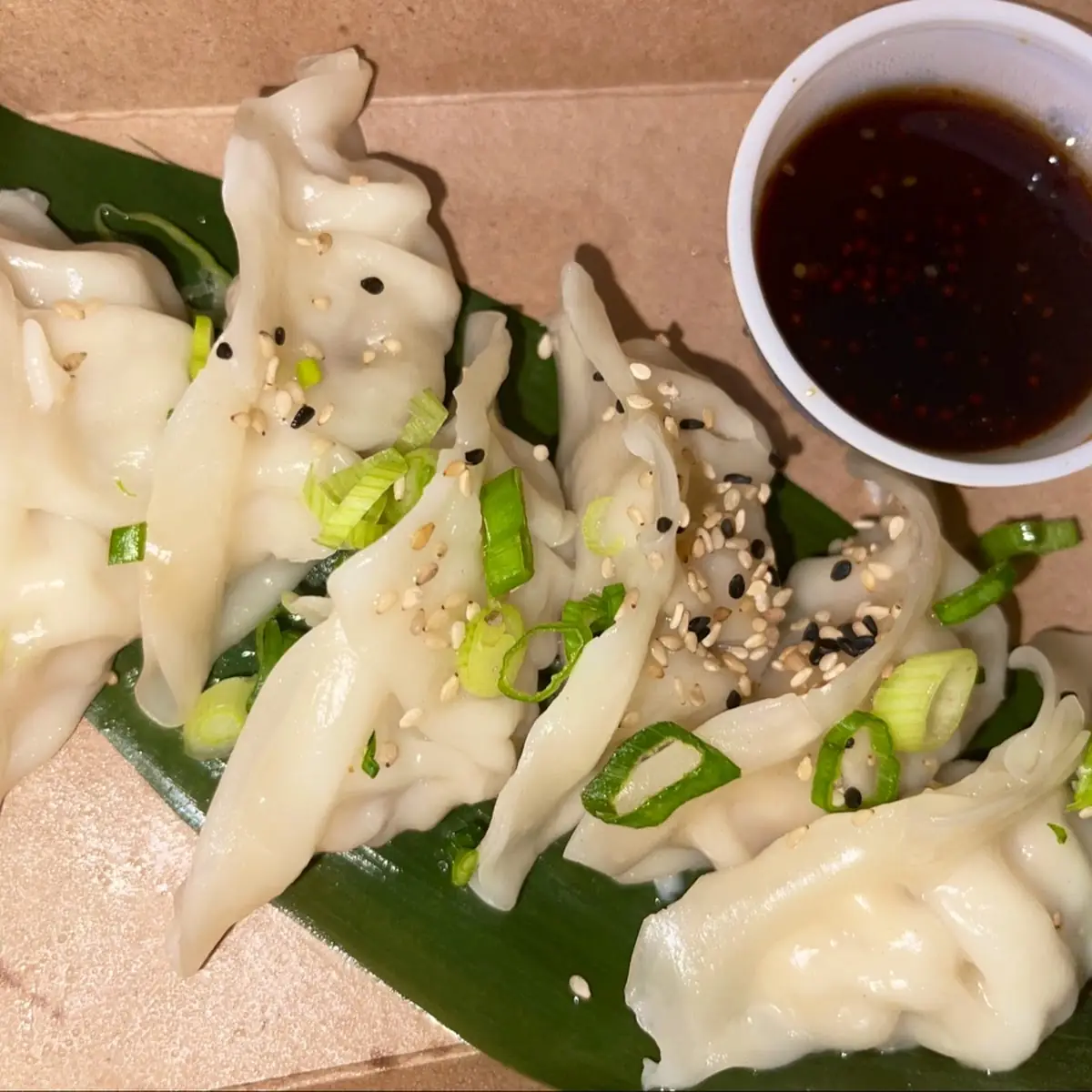 Pork Dumplings