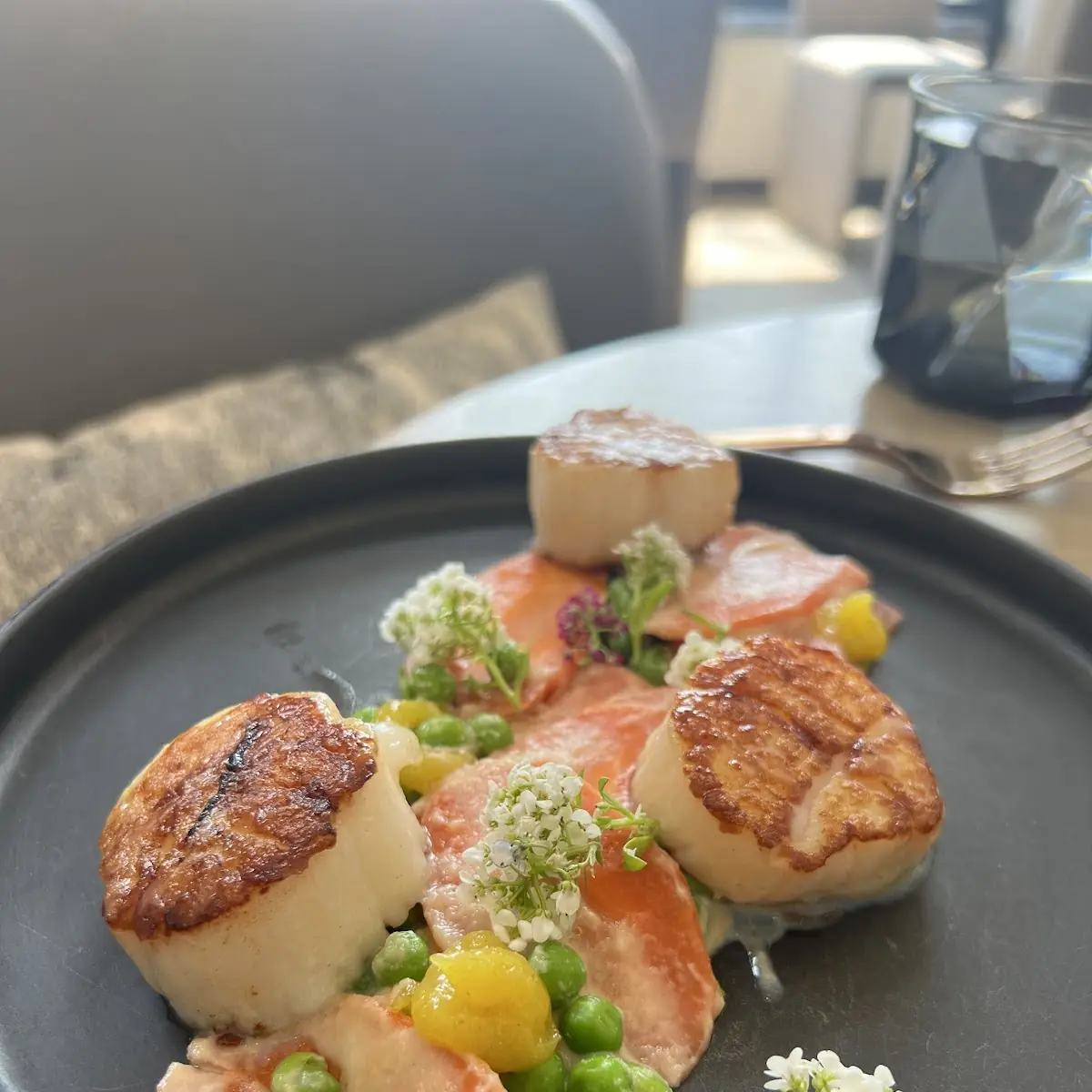Sea Scallops