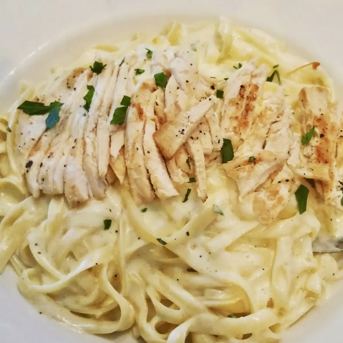 Chicken Alfredo