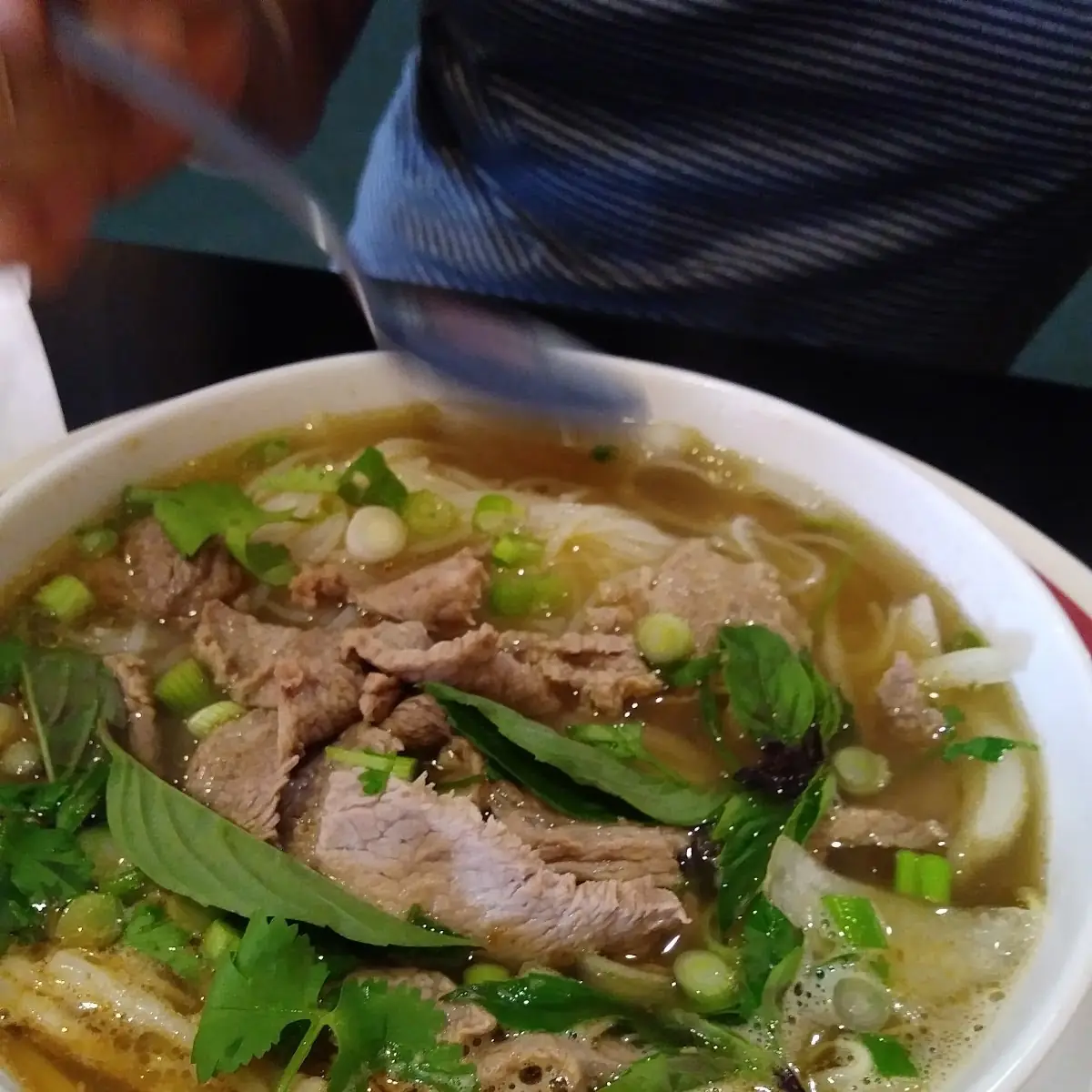 Vietnamese Noodle Soup