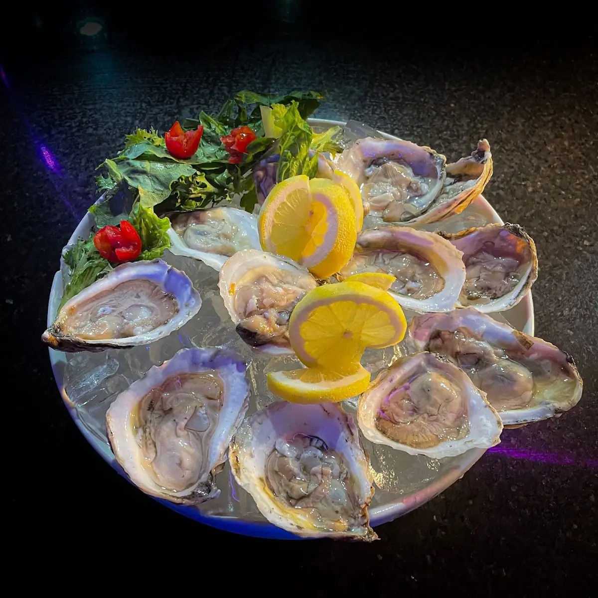 Oysters on the Half Shell