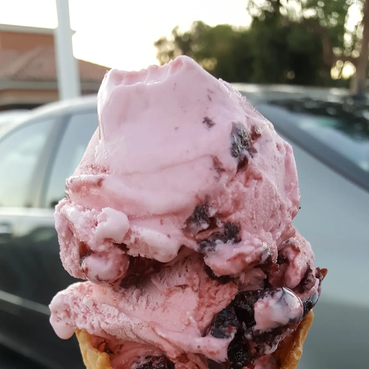 Black Cherry in a Waffle Cone