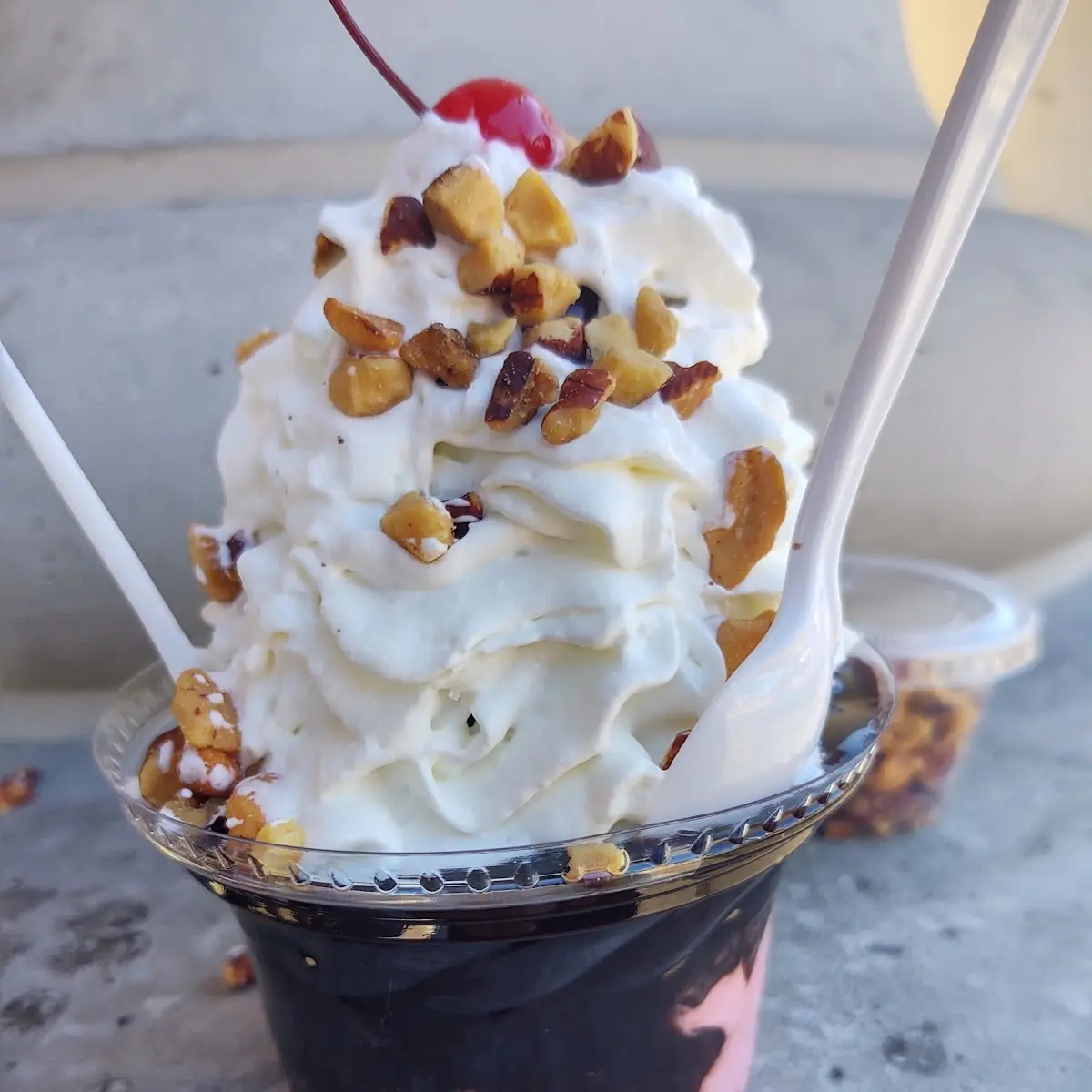 Black Raspberry Hot Fudge Sundae