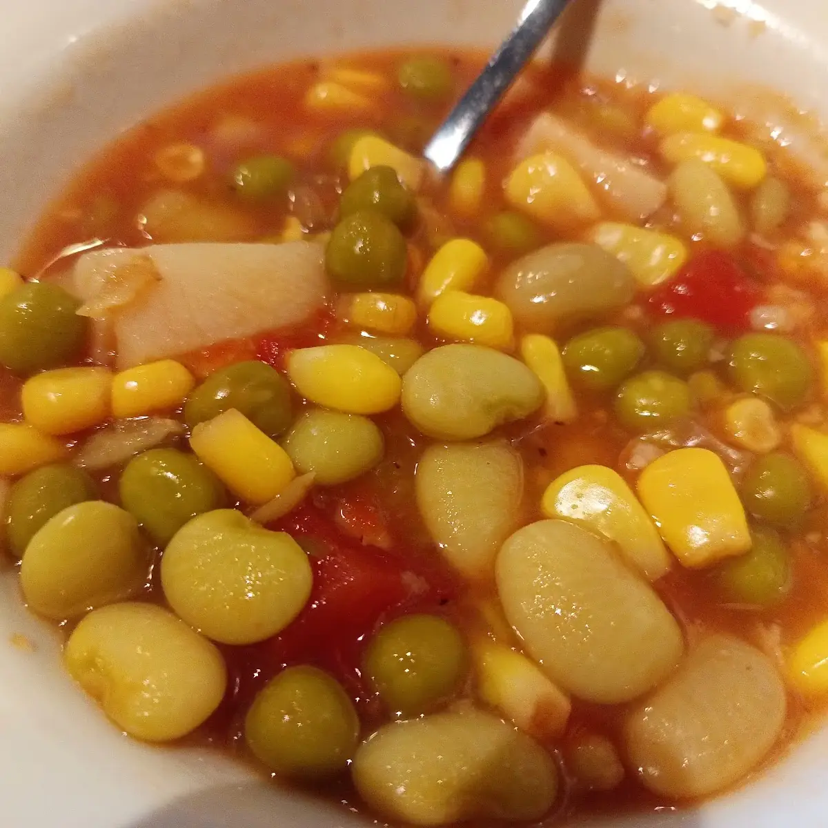 Vegetable Soup