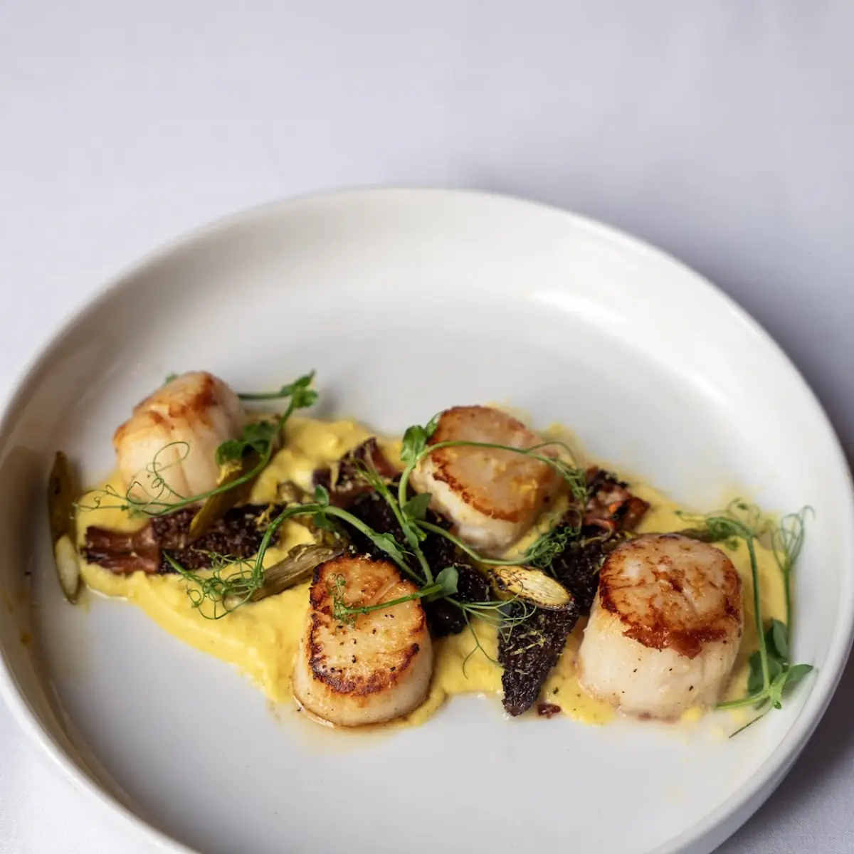 Pan Seared Scallops