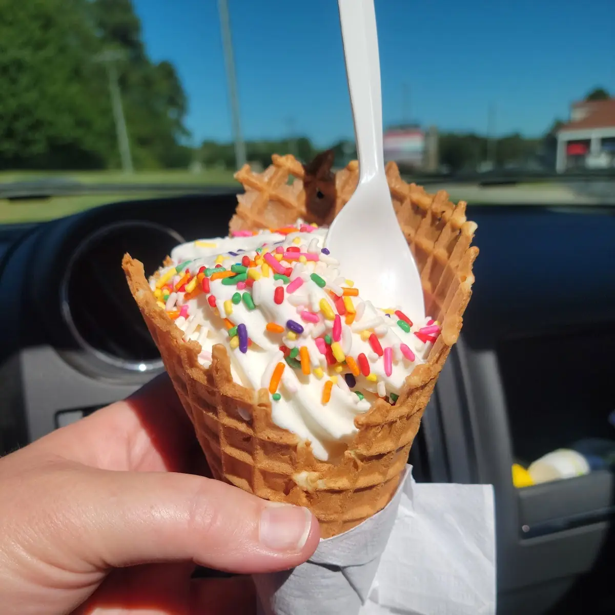 Vanilla Soft Serve with Rainbow Sprinkles in a Waffle Cone
