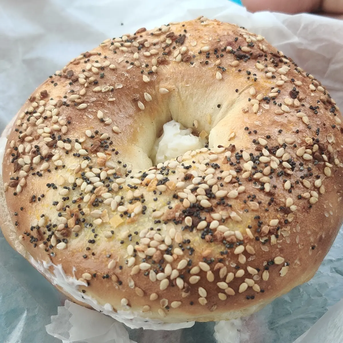 Everything Bagel with Cream Cheese