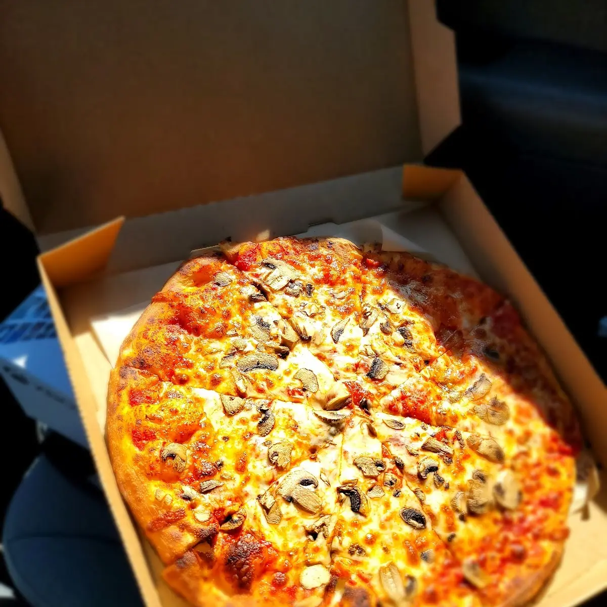 Cheese and Mushroom Pizza