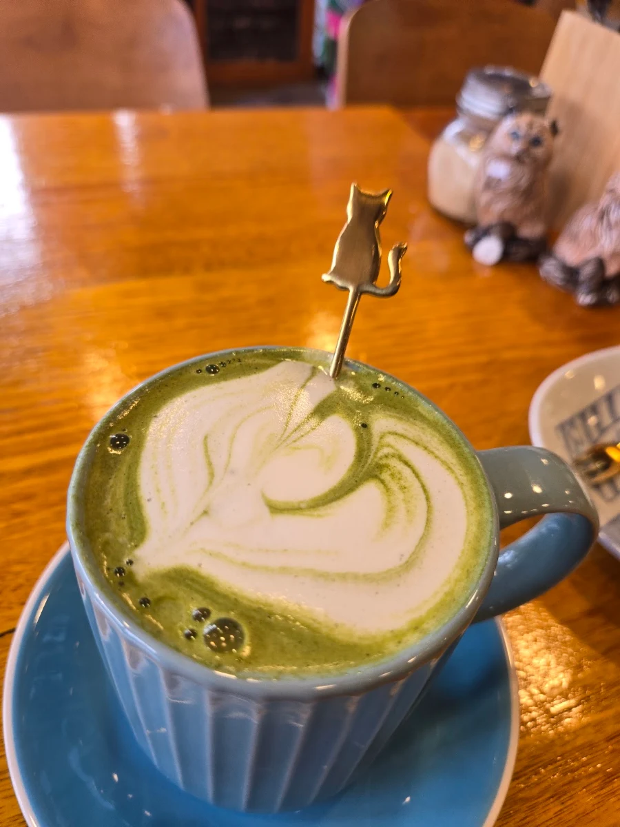 Matcha Latte VG, Cat-themed Japanese cafe | neko Geelong