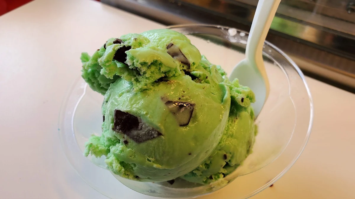 Mint Chocolate Chip